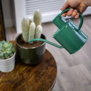 KS Indoor Metal Watering Can 1ltr Sage Green