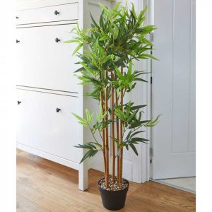 Bamboo Plant 120 cm