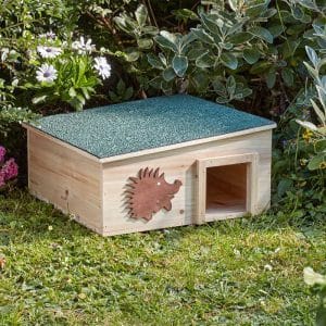 Hedgehog Home