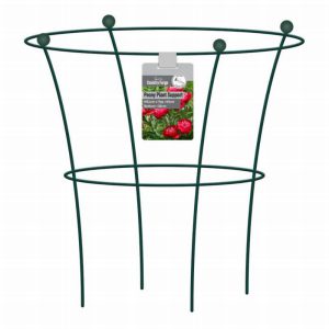 Peony Plant Support H 64cm