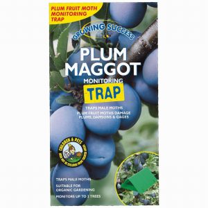 Growing Success Plum Maggot Monitoring Trap