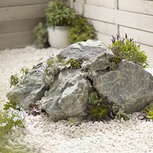 Forest Green Rockery