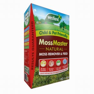 Westland Moss Master 80m2 Box (Natural Moss Remover High K)