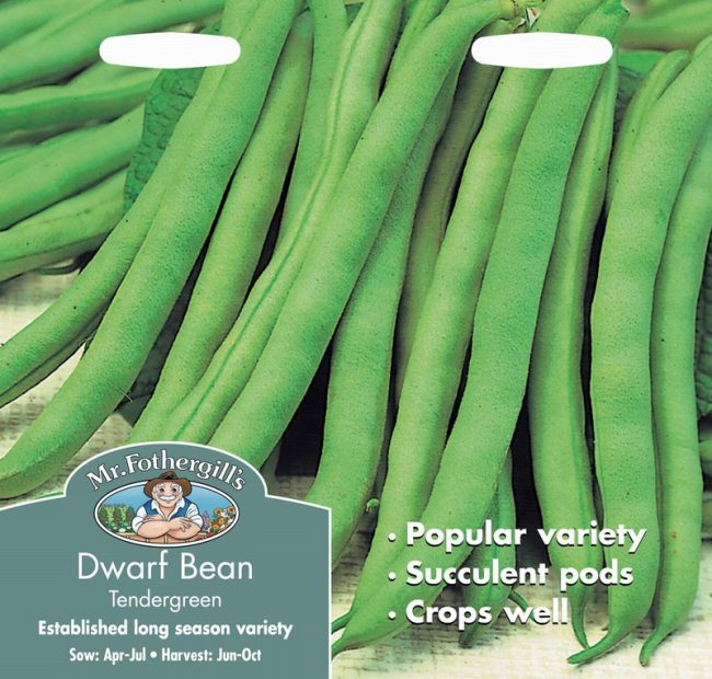 UK/FO-DWARF FRENCH BEAN Tendergreen