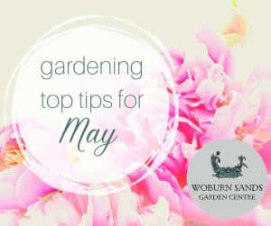 Read more about the article Gardening Top Tips For May