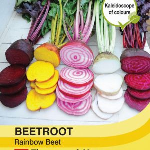 Beetroot Rainbow Beet