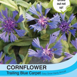 Cornflower Trailing Blue Carpet