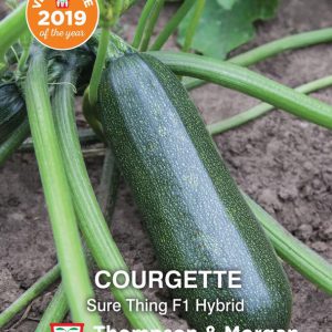 Courgette Sure Thing