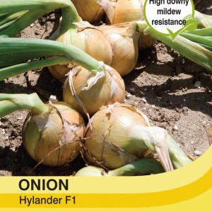 Onion Hylander F1 Hybrid