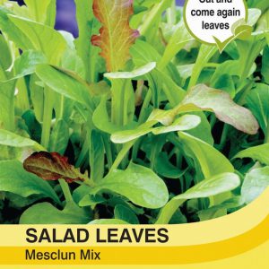 Salad Leaves – Mesclun Mixed