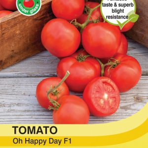 Tomato Oh Happy Day F1 Hybrid