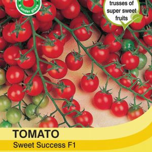 Tomato Sweet Success F1 Hybrid