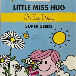 Little Miss Hug Ox Eye Daisy