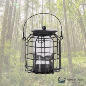 Compact Squirrel Proof Seed Feeder