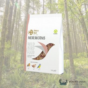 Mealworm 100g