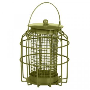 Compact Squirrel Proof Peanut Feeder