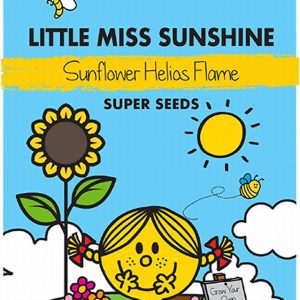 Little Miss Sunshine Sunflower Helios Flame