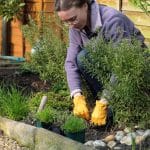 Preparing Your Garden For The Spring | Woburn Sands Emporium