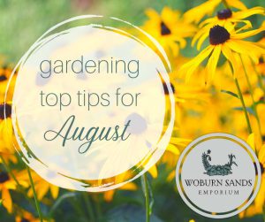 Read more about the article Gardening Top Tips for August