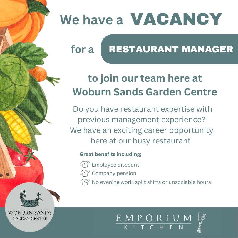 Read more about the article Restaurant Manager