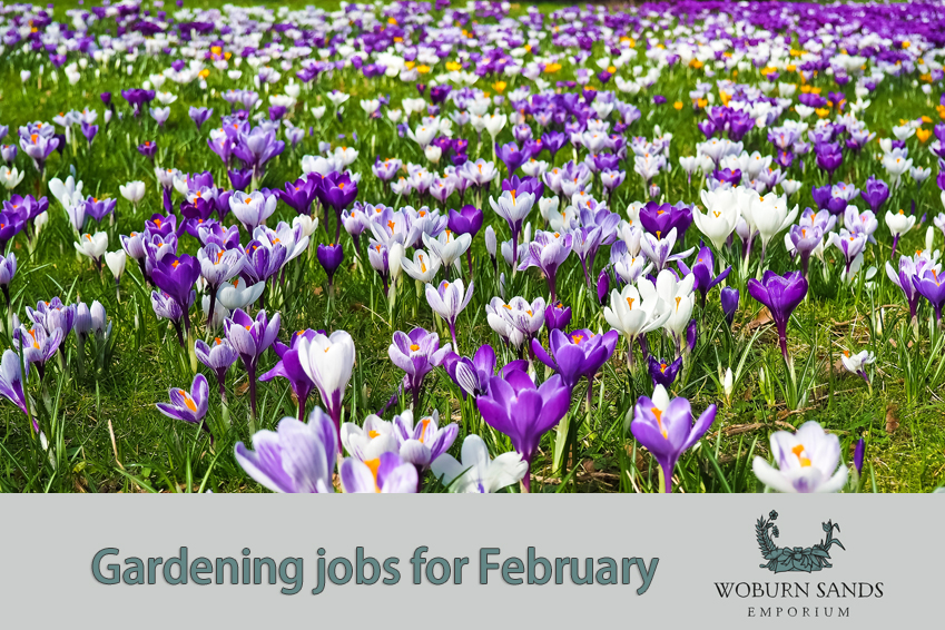 You are currently viewing Top Gardening Jobs for February